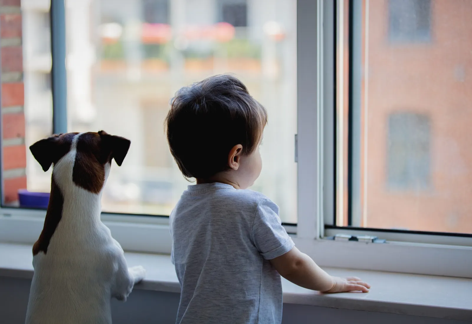 Modern style demands innovation – the same goes for windows